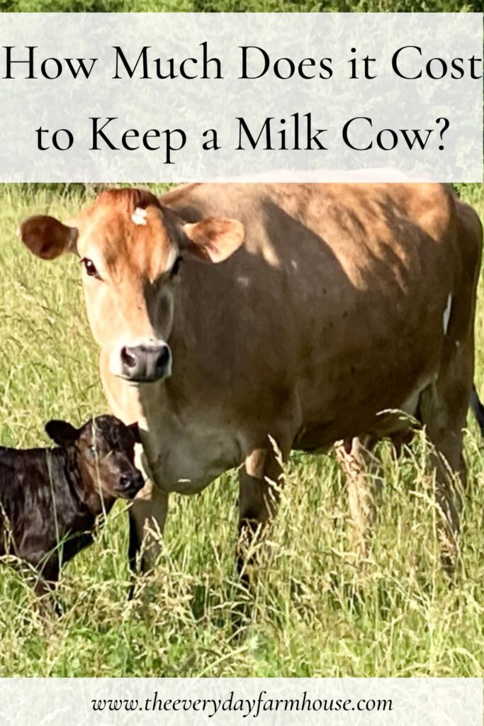 Cost of keeping a milk cow