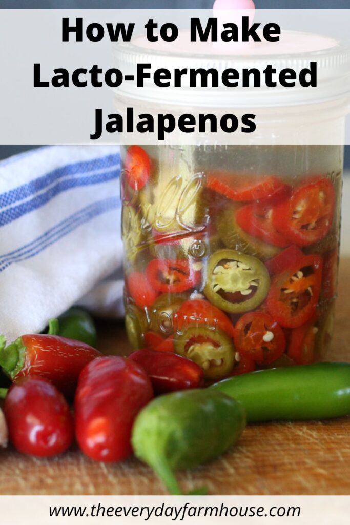 fermented jalapenos