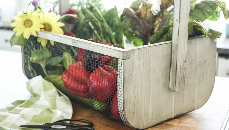 Wooden Garden Trug - Small Gathering Basket