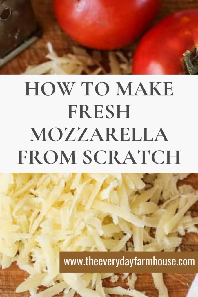 mozzarella cheese froms scratch shredded