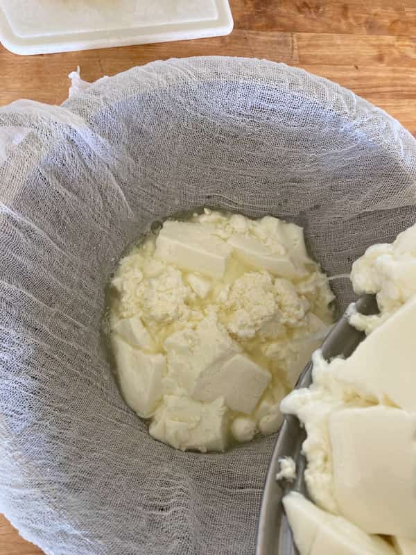 draining the cheese curds in a collander