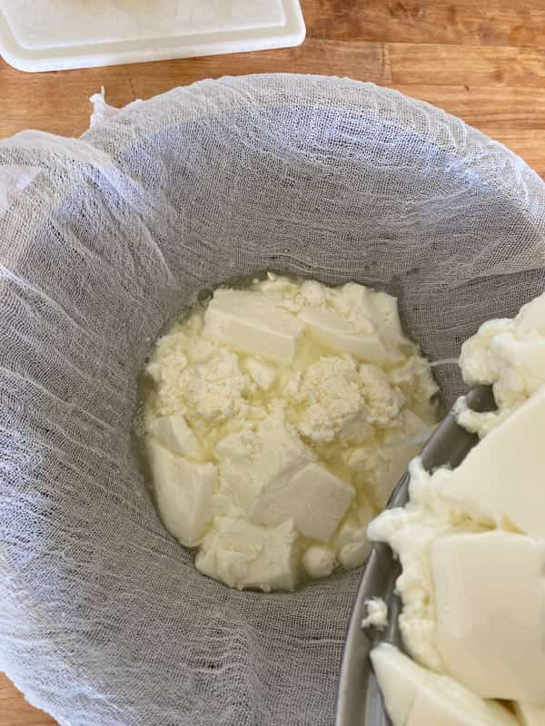 Homemade Grass Fed Raw Milk Mozzarella – Eat Up! Kitchen