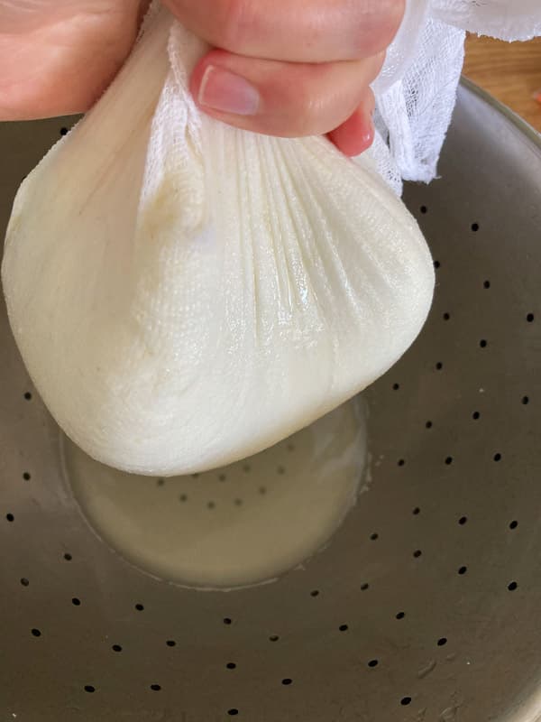 Making Homemade Raw Milk Mozzarella Cheese from Scratch: A Step-by