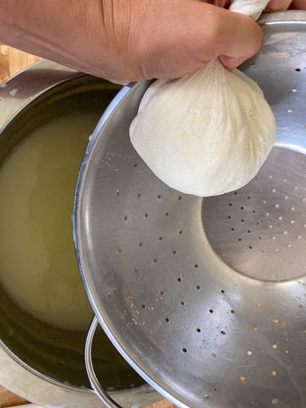 squeezing the curds
