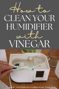 How To Clean A Humidifier With Vinegar | Step-by-Step - The Everyday ...