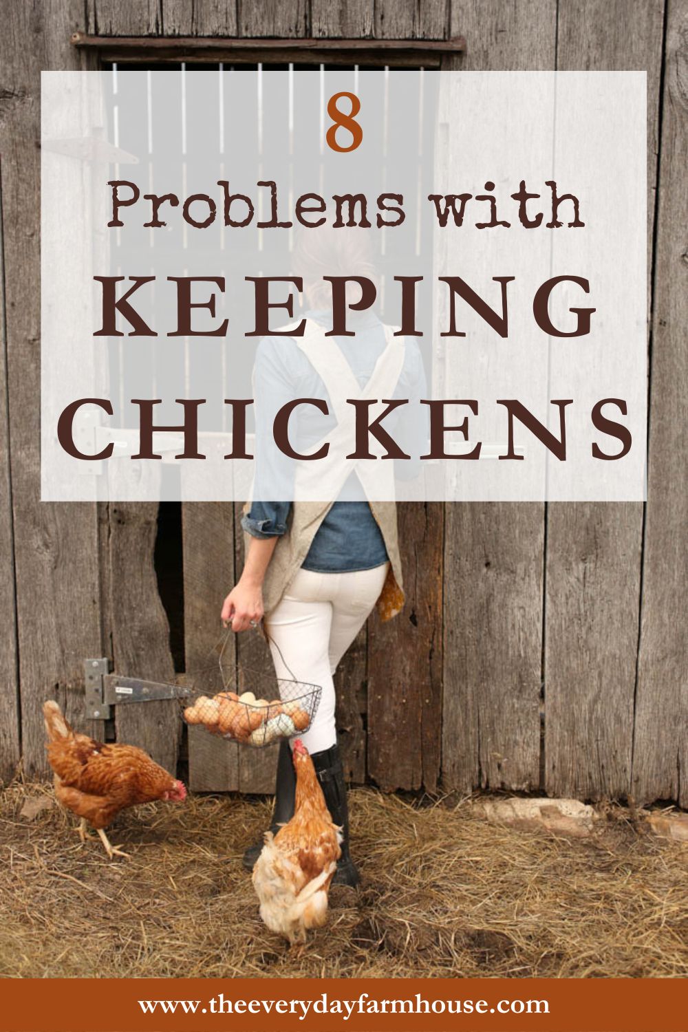 8 Disadvantages of Keeping Chickens Looking at the Challenges The Everyday Farmhouse