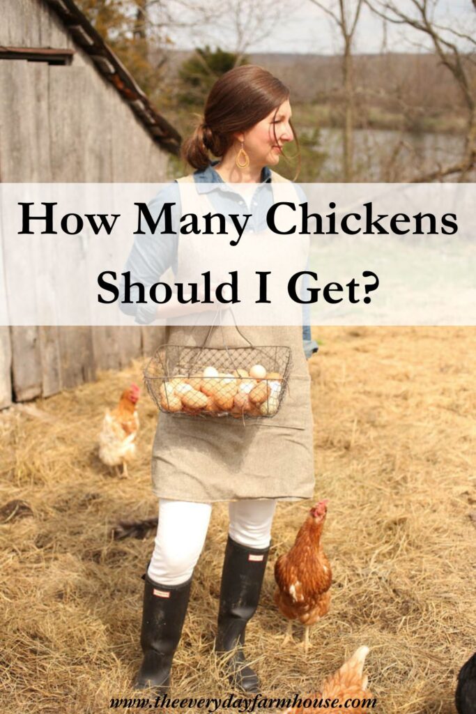 how many chickens should I get?