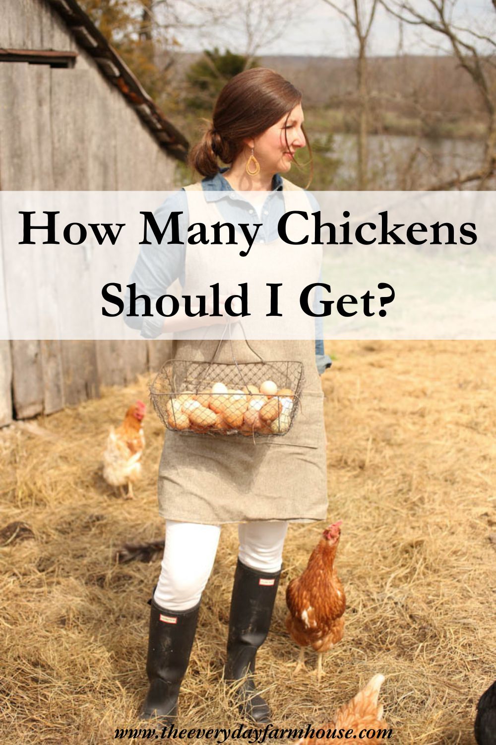 How Many Chickens Should I Get? A Guide to Starting Your Flock The