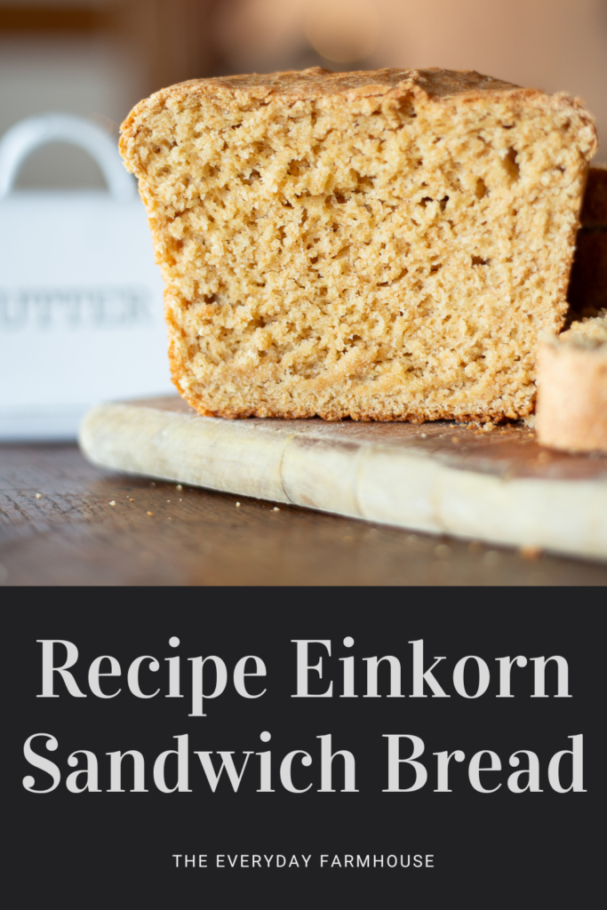 einkorn sandwich bread recipe
