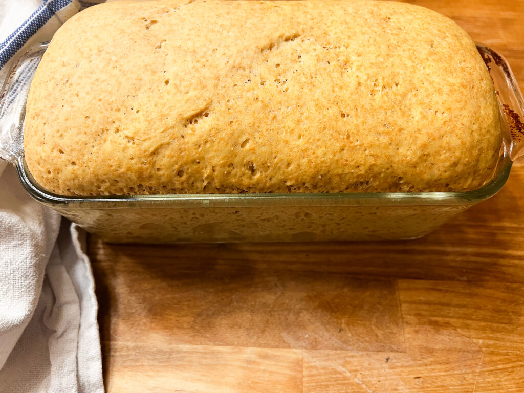 loaf after second rise