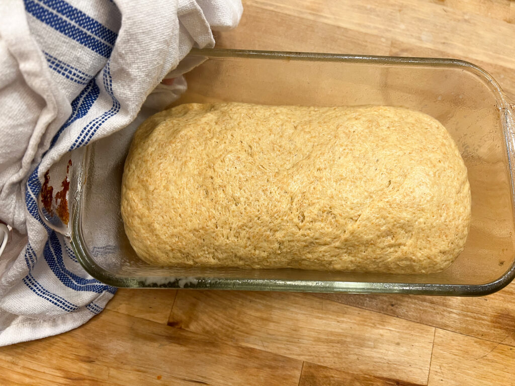 loaf before rising