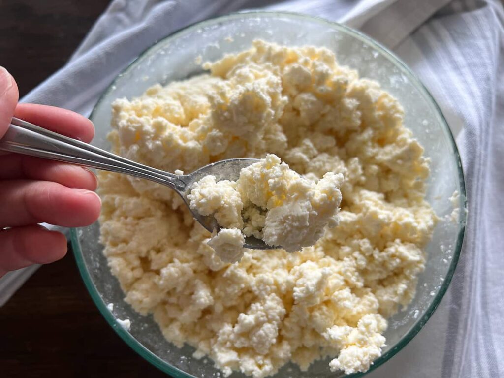 fresh quick homemade cottage cheese