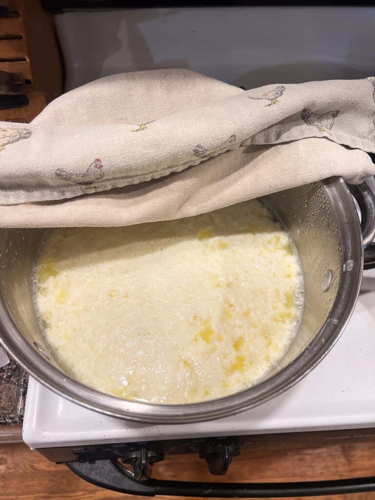 curds and whey separated